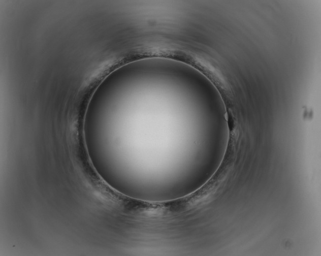 X0000091470306200708161404