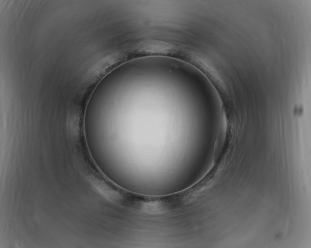 X0000091470309200708161404