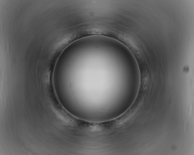 X0000091470310200708161404