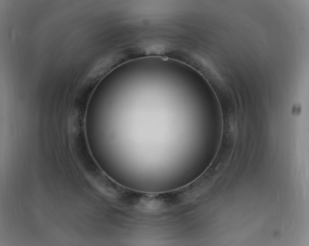 X0000091470311200708161404