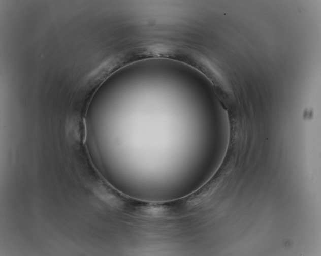 X0000091470313200708161404