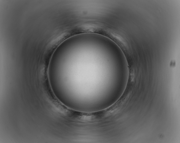 X0000091470314200708161404