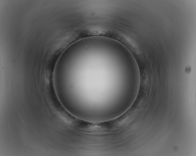 X0000091470315200708161404