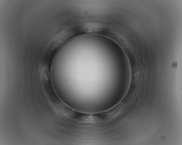 X0000091470316200708161404