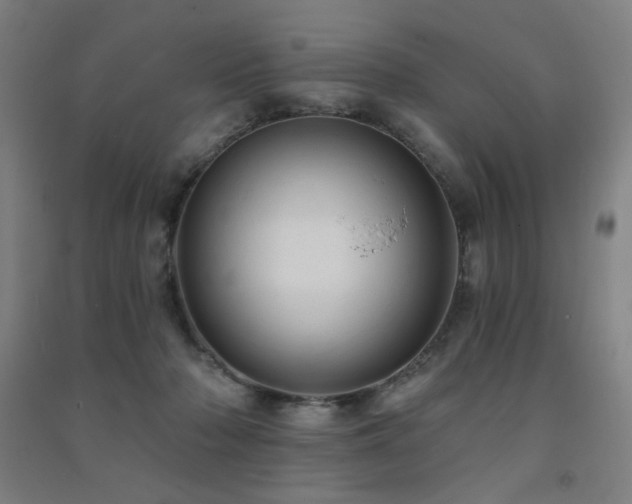 X0000091470318200708161404