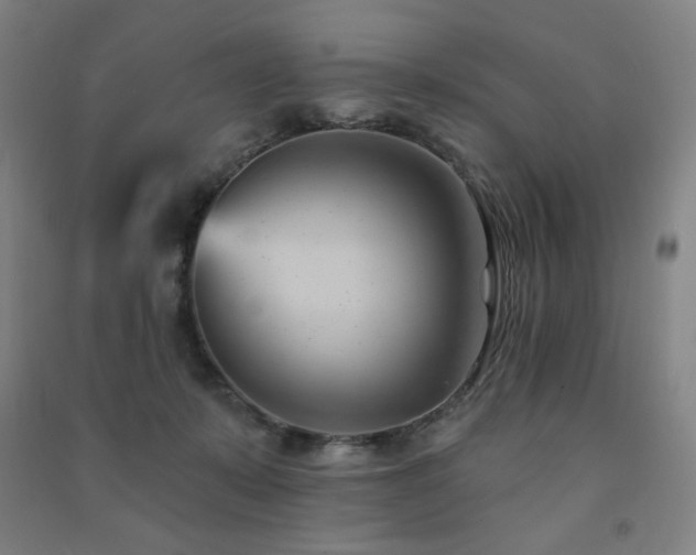 X0000091470319200708161404