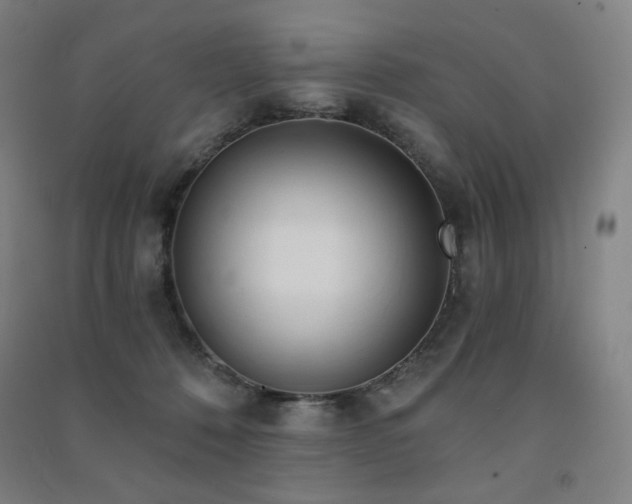 X0000091470320200708161404