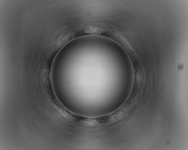 X0000091470322200708161404