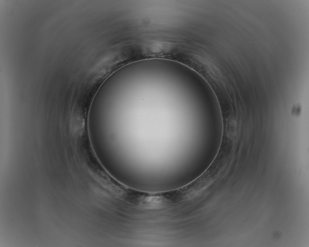 X0000091470324200708161404