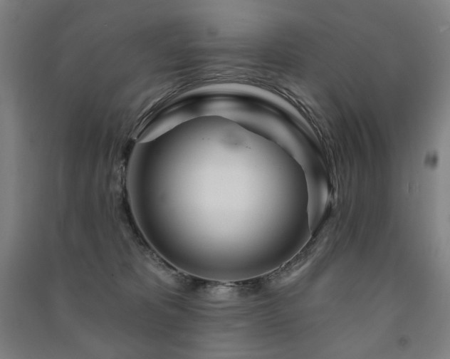 X0000091470325200708161404