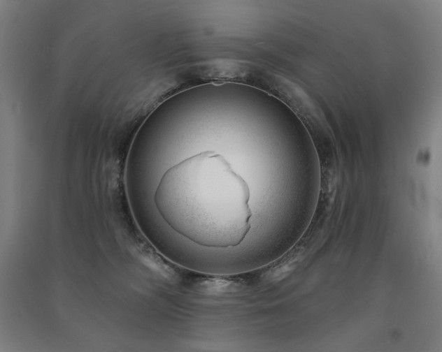 X0000091470326200708161404