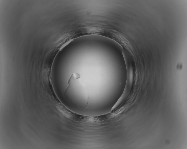 X0000091470329200708161404