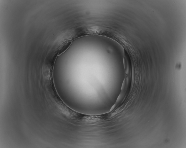 X0000091470331200708161404