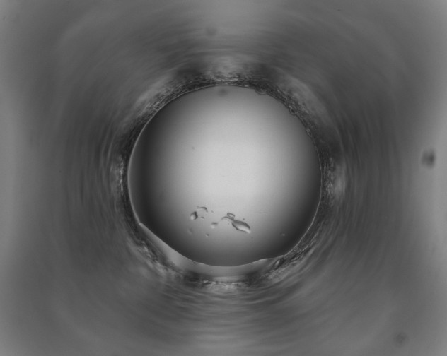 X0000091470332200708161404