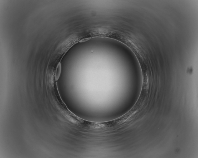 X0000091470334200708161404