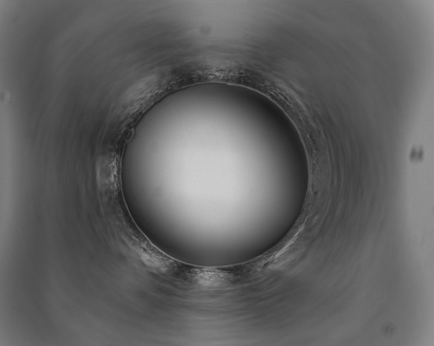 X0000091470336200708161404