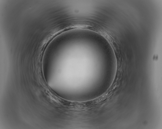 X0000091470337200708161403