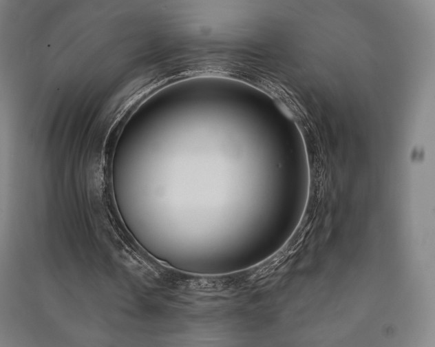 X0000091470338200708161403