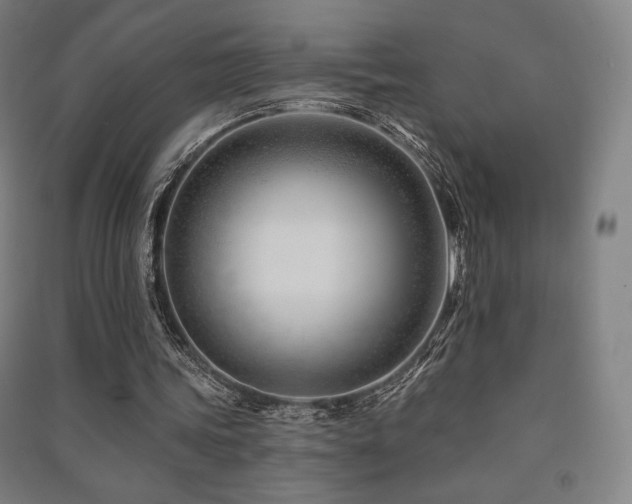 X0000091470339200708161403