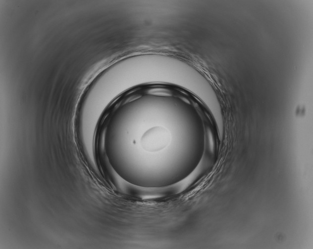 X0000091470340200708161403