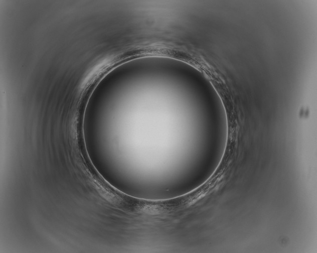 X0000091470341200708161403