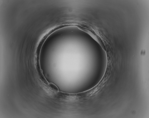 X0000091470342200708161403