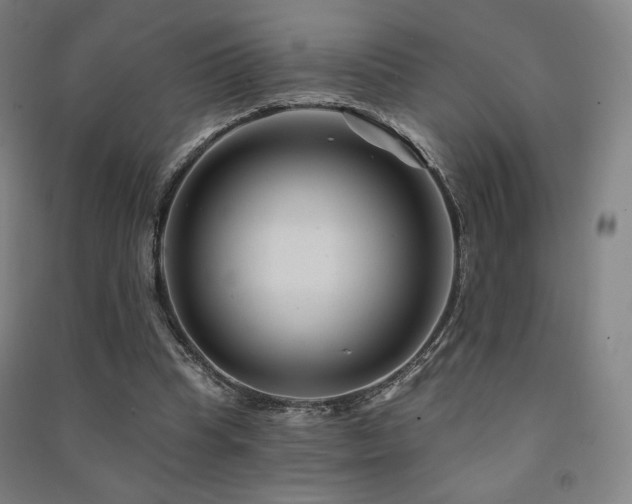 X0000091470345200708161403