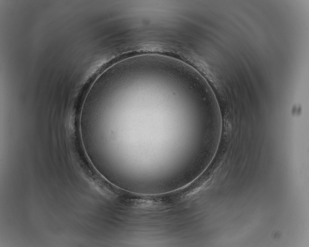 X0000091470347200708161403