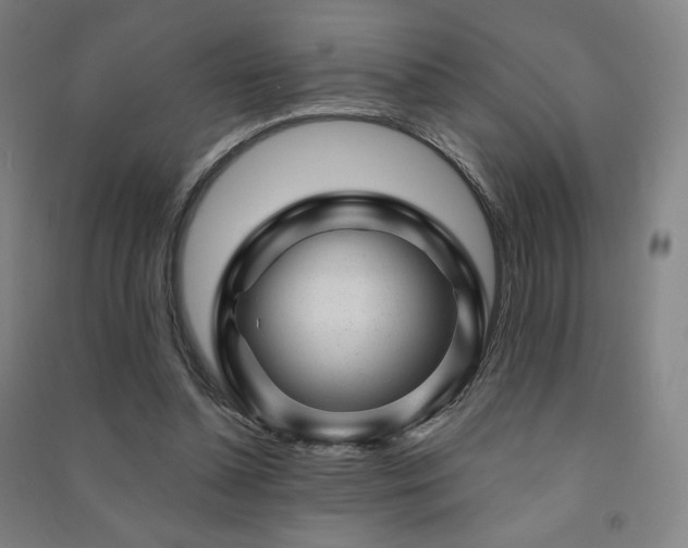 X0000091470348200708161403