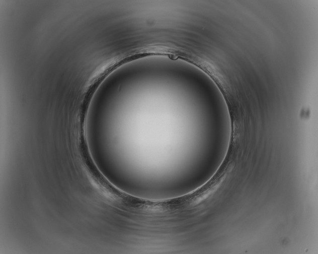 X0000091470349200708161403