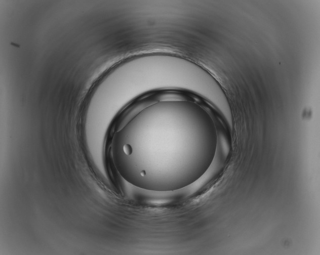 X0000091470350200708161403