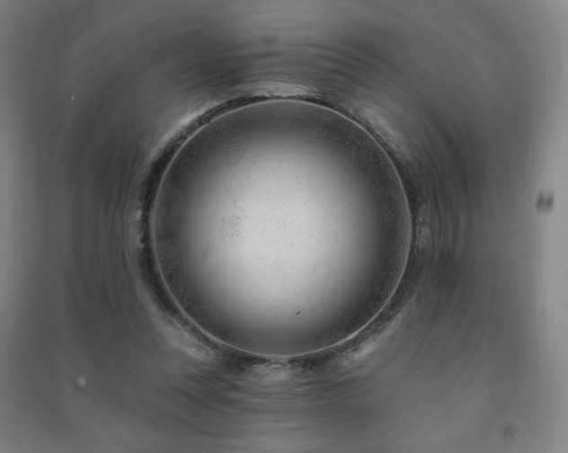 X0000091470351200708161403