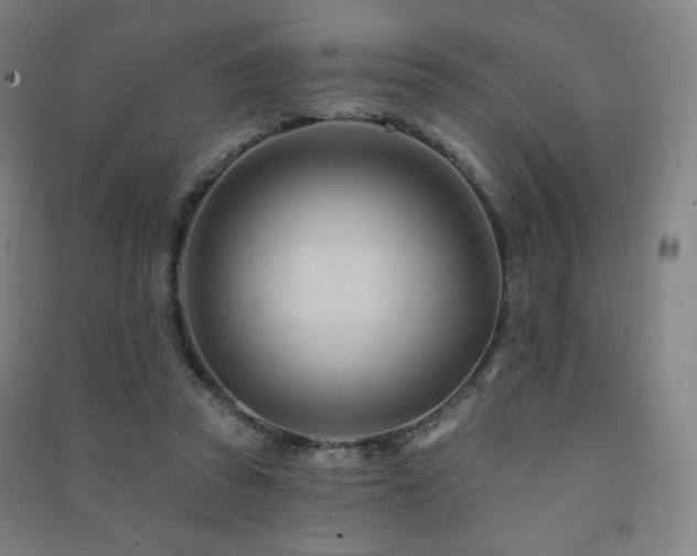 X0000091470353200708161403