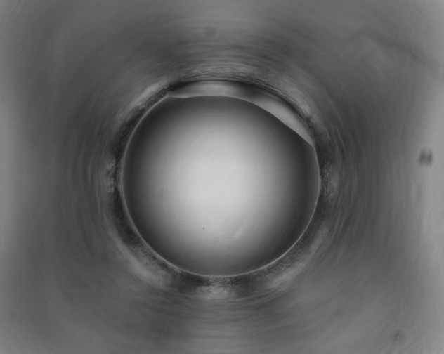 X0000091470356200708161403