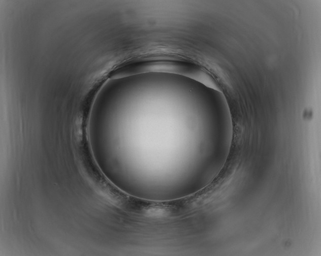 X0000091470358200708161403