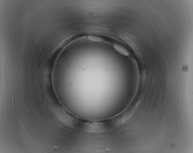 X0000091470359200708161403