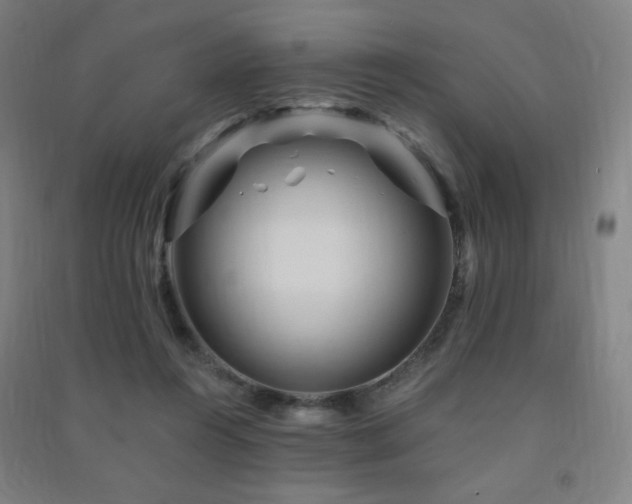 X0000091470360200708161403