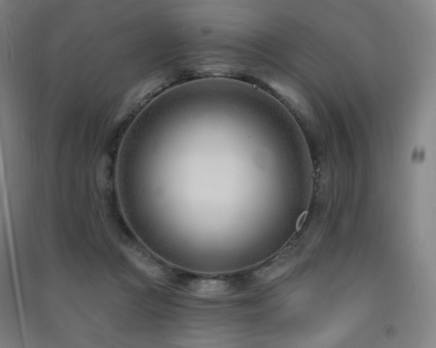 X0000091470361200708161403