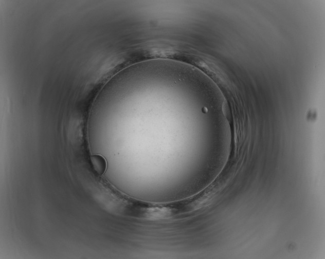 X0000091470363200708161403