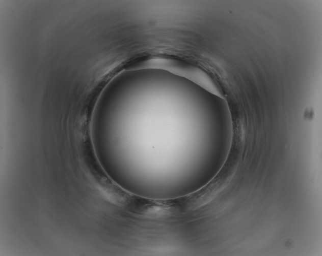 X0000091470364200708161403