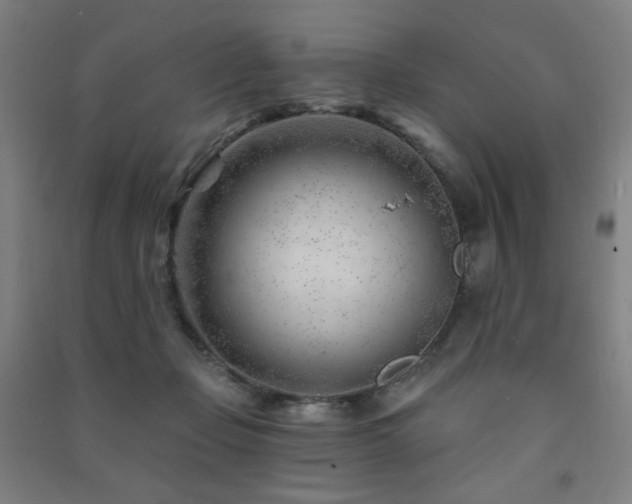 X0000091470365200708161404