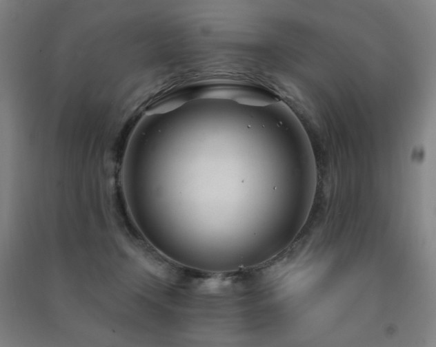 X0000091470366200708161404