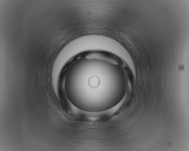 X0000091470368200708161404