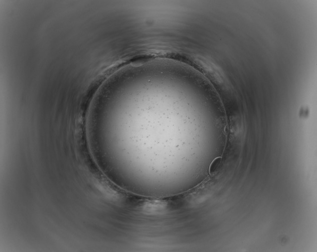 X0000091470369200708161404