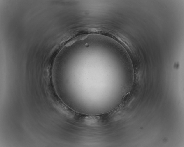 X0000091470373200708161404