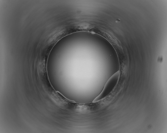 X0000091470376200708161404