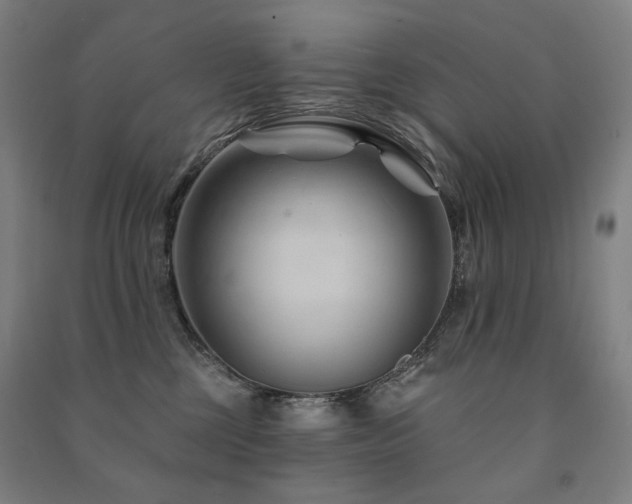 X0000091470377200708161404