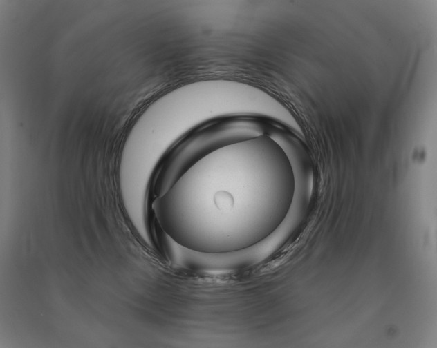 X0000091470378200708161404