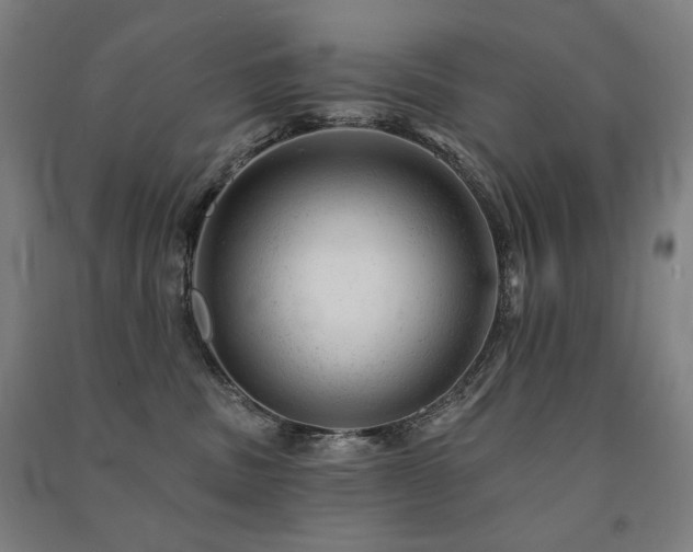 X0000091470379200708161404