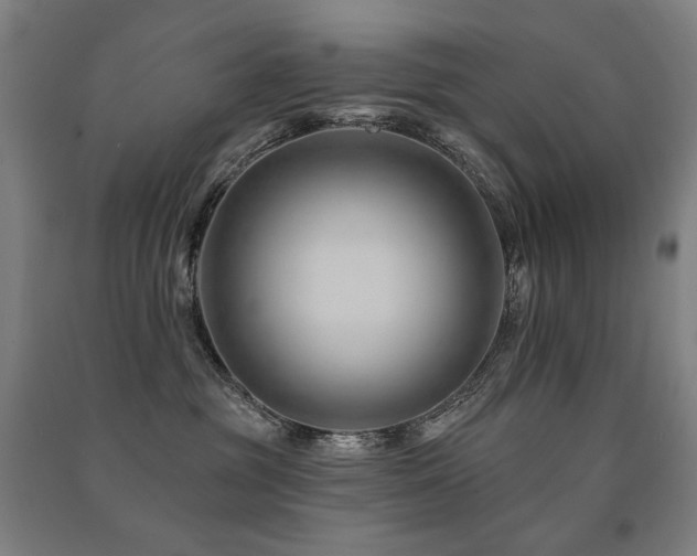 X0000091470381200708161404